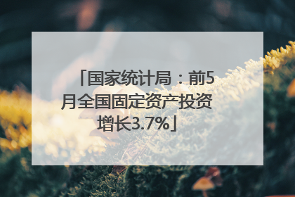 国家统计局：前5月全国固定资产投资增长3.7%