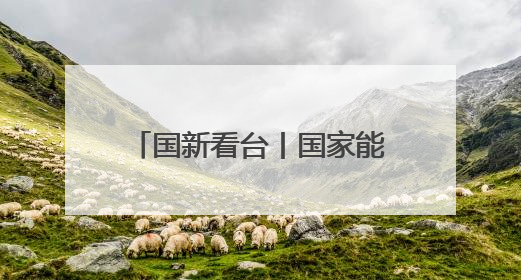 国新看台丨国家能源局：过去五年年均为用户节省办电投资约600亿元