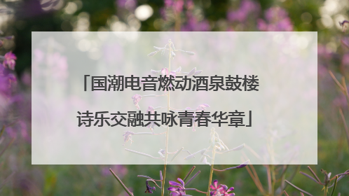国潮电音燃动酒泉鼓楼 诗乐交融共咏青春华章