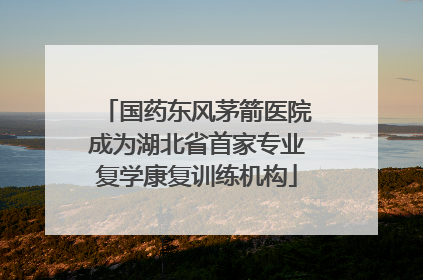 国药东风茅箭医院成为湖北省首家专业复学康复训练机构