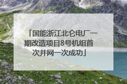 国能浙江北仑电厂一期改造项目8号机组首次并网一次成功