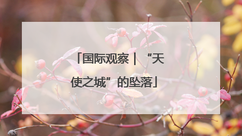国际观察｜“天使之城”的坠落