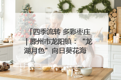 四季流转 多彩枣庄｜滕州市龙阳镇：“龙湖月色”向日葵花海 绘就乡村振兴新画卷