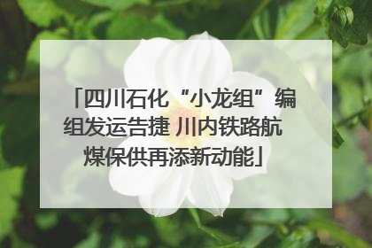 四川石化“小龙组”编组发运告捷 川内铁路航煤保供再添新动能