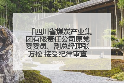 四川省煤炭产业集团有限责任公司原党委委员、副总经理张万松 接受纪律审查和监察调查