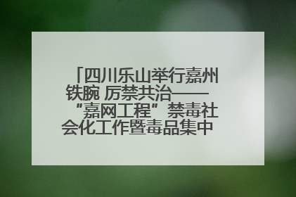 四川乐山举行嘉州铁腕 厉禁共治——“嘉网工程”禁毒社会化工作暨毒品集中销毁启动仪式
