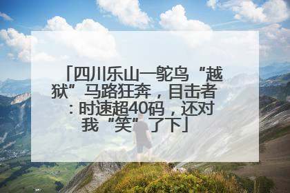 四川乐山一鸵鸟“越狱”马路狂奔，目击者：时速超40码，还对我“笑”了下