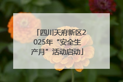 四川天府新区2025年“安全生产月”活动启动