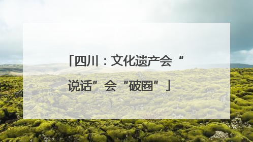 四川：文化遗产会“说话”会“破圈”