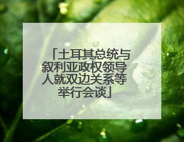 土耳其总统与叙利亚政权领导人就双边关系等举行会谈