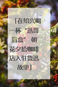 在绍兴喝一杯“迅哥盲盒” 朝花夕拾咖啡店入驻鲁迅故里