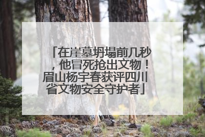 在崖墓坍塌前几秒，他冒死抢出文物！眉山杨宇春获评四川省文物安全守护者
