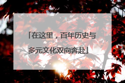 在这里，百年历史与多元文化双向奔赴