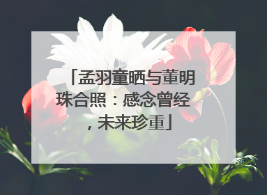 孟羽童晒与董明珠合照：感念曾经，未来珍重