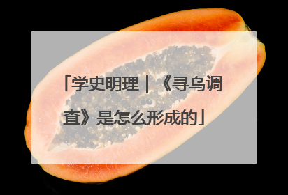 学史明理｜《寻乌调查》是怎么形成的