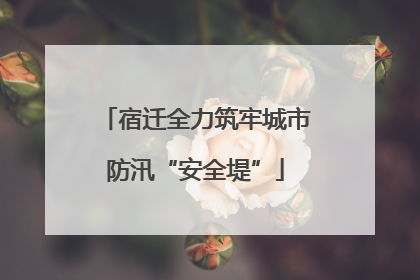 宿迁全力筑牢城市防汛“安全堤”