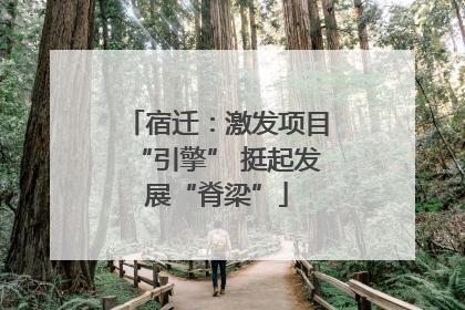 宿迁：激发项目“引擎” 挺起发展“脊梁”