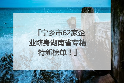 宁乡市62家企业跻身湖南省专精特新榜单！