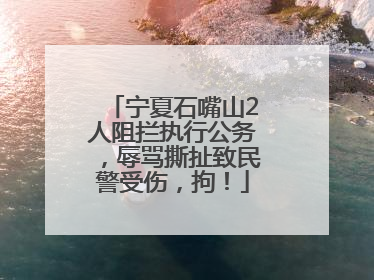 宁夏石嘴山2人阻拦执行公务，辱骂撕扯致民警受伤，拘！
