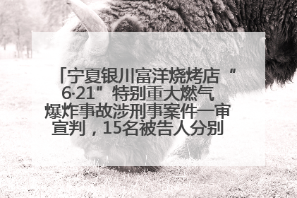 宁夏银川富洋烧烤店“6·21”特别重大燃气爆炸事故涉刑事案件一审宣判，15名被告人分别判刑六年至一年不等