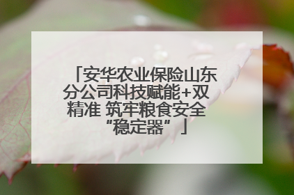 安华农业保险山东分公司科技赋能+双精准 筑牢粮食安全“稳定器”