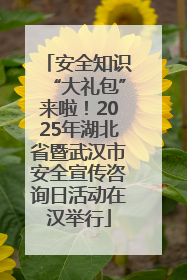 安全知识“大礼包”来啦！2025年湖北省暨武汉市安全宣传咨询日活动在汉举行