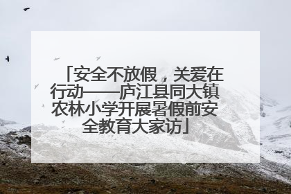 安全不放假，关爱在行动——庐江县同大镇农林小学开展暑假前安全教育大家访