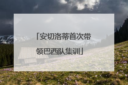 安切洛蒂首次带领巴西队集训