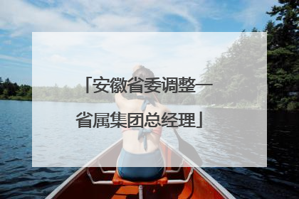 安徽省委调整一省属集团总经理