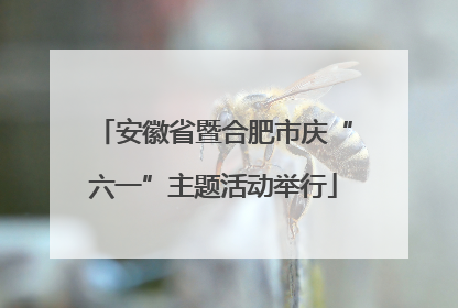 安徽省暨合肥市庆“六一”主题活动举行