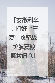 安徽利辛：打好“三夏”攻坚战 护航夏粮颗粒归仓