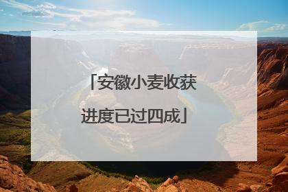 安徽小麦收获进度已过四成