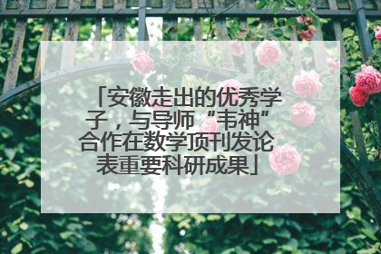 安徽走出的优秀学子，与导师“韦神”合作在数学顶刊发论表重要科研成果