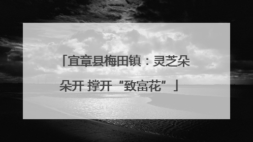 宜章县梅田镇：灵芝朵朵开 撑开“致富花”