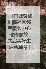宜城紫峰雅院社区邻里服务中心璀璨绽放 共启美好生活新篇章
