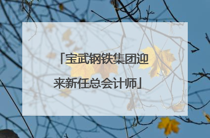 宝武钢铁集团迎来新任总会计师