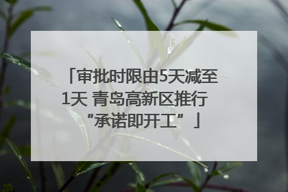 审批时限由5天减至1天 青岛高新区推行“承诺即开工”