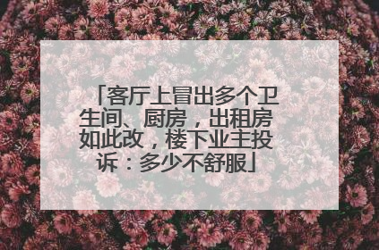 客厅上冒出多个卫生间、厨房，出租房如此改，楼下业主投诉：多少不舒服