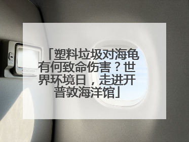 塑料垃圾对海龟有何致命伤害？世界环境日，走进开普敦海洋馆