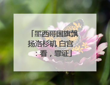 墨西哥国旗飘扬洛杉矶 白宫：看，罪证