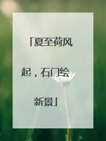 夏至荷风起，石门绘新景