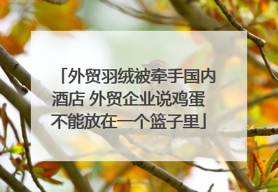 外贸羽绒被牵手国内酒店 外贸企业说鸡蛋不能放在一个篮子里