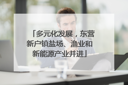 多元化发展，东营新户镇盐场、渔业和新能源产业并进
