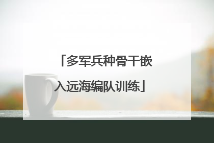 多军兵种骨干嵌入远海编队训练