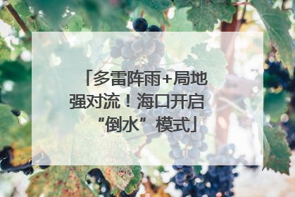 多雷阵雨+局地强对流！海口开启“倒水”模式
