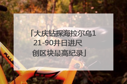 大庆钻探海拉尔乌121-90井日进尺 创区块最高纪录