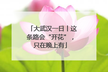 大武汉一日丨这条路会“开花”，只在晚上有