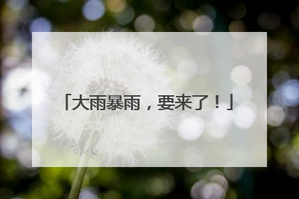 大雨暴雨，要来了！