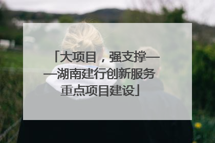 大项目，强支撑——湖南建行创新服务重点项目建设