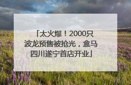 太火爆！2000只波龙预售被抢光，盒马四川遂宁首店开业